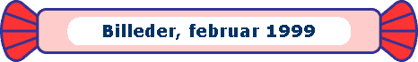  Billeder, februar 1999 
